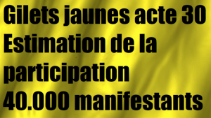 gilets-jaunes-acte-30-participation